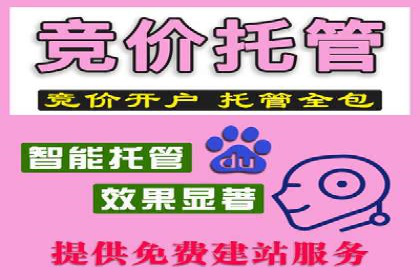 案例解析：托管SEM竞价助力企业腾飞